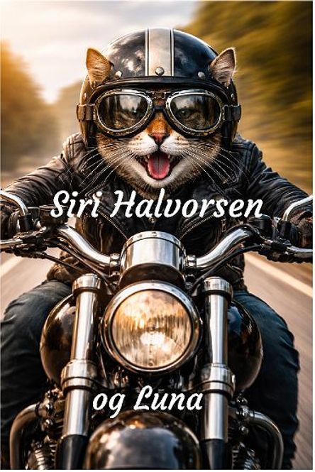 Hovedbilde Dørskilt i aluminium med katt 13,5x19 cm