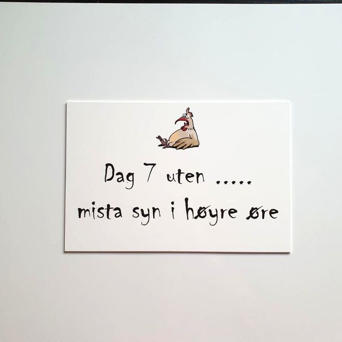 Hovedbilde 7. dag uten ....